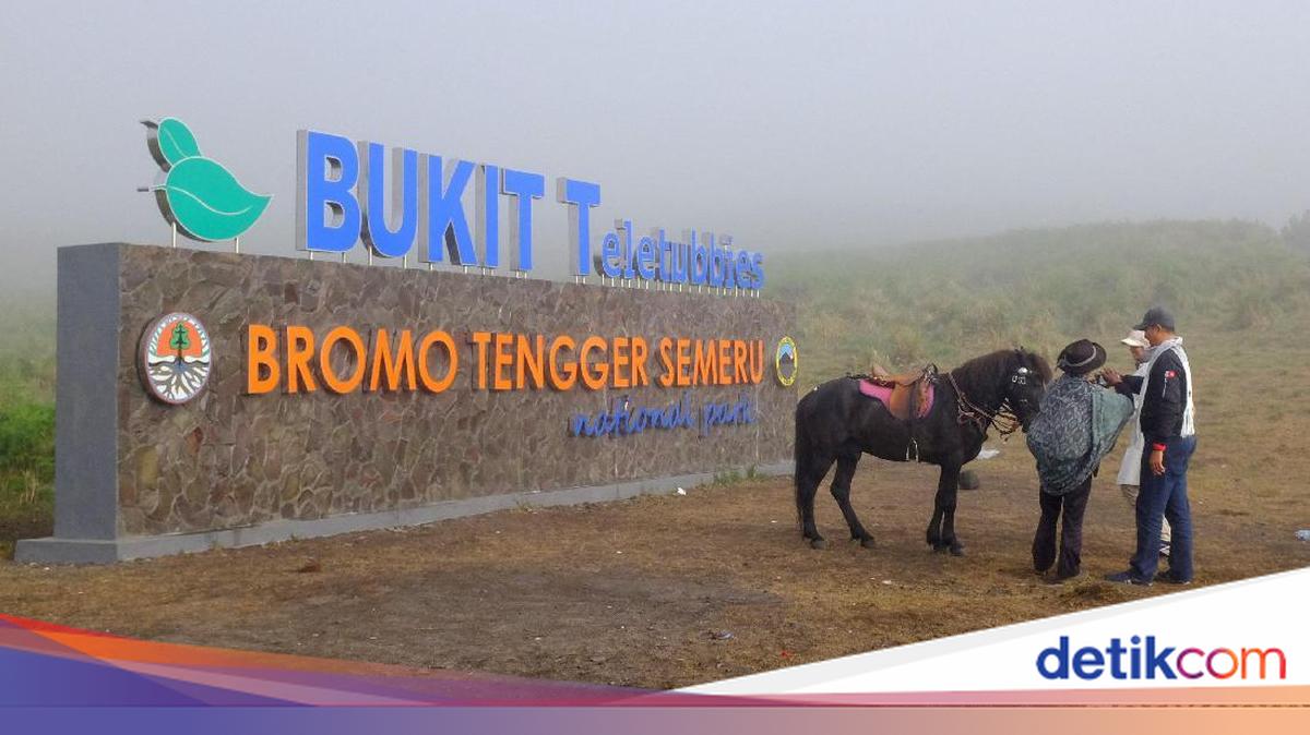 Taman Nasional Bromo-Komodo Jadi Badan Layanan Umum, Tak Bergantung APBN