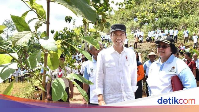 Jokowi Gerakan Tanam Pohon Jangan Hanya Seremonial