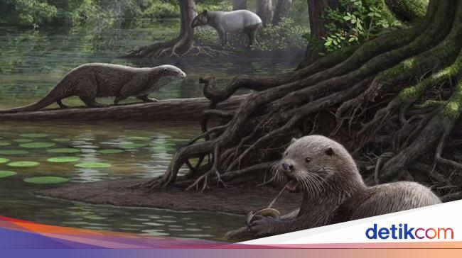 Bentuk Purbakala Hewan Masa Kini Ternyata Mengagetkan Bentuk Purbakala Hewan Masa Kini Ternyata Mengagetkan