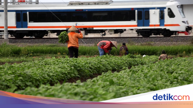 Catat! Ini Jadwal dan Tarif Kereta Bandara Soetta dari Bekasi