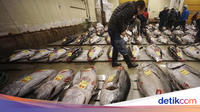 Susi Minta Jepang Bebaskan Bea Masuk Ikan Asal RI - detikFinance