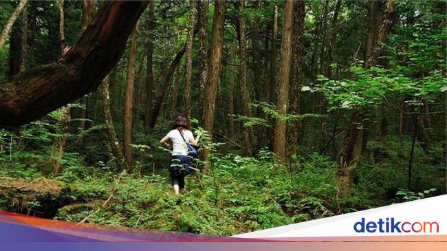 Menguak Aokigahara, Hutan Bunuh Diri di Jepang