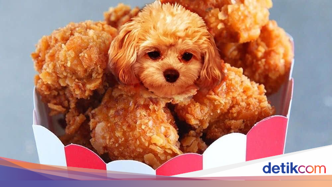 Ah, Lucunya! Anjing-anjing Ini Menyelip dalam Bentuk Makanan