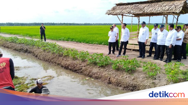 86 CDR KAOS PUTIH JOKOWI DOWNLOAD PSD ZIP KaosJokowi 86 CDR KAOS PUTIH JOKOWI DOWNLOAD PSD ZIP KaosJokowi