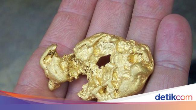 Ditemukan Bakteri Pendaur Ulang Emas