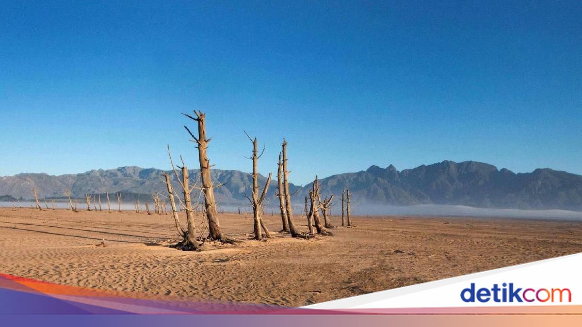 Serba-serbi Hari Dunia untuk Memerangi Penggurusan dan Kekeringan 2026