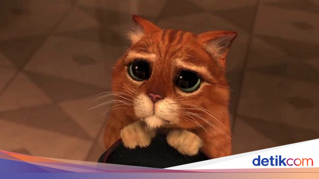 Piala Nyasar Justin Bieber dan Meme Lucu Sindiran untuk Grammy