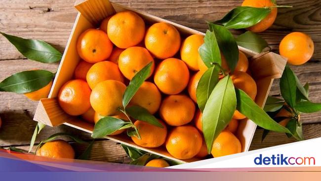 Manfaat Buah Jeruk Dalam Bahasa Inggris | Seputar Buah