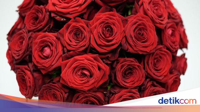 Ini Buket Bunga Paling Mahal untuk Hari Valentine Ini Buket Bunga Paling Mahal untuk Hari Valentine