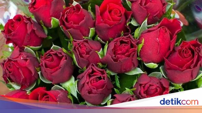 Foto Ada Piramida Bunga Mawar Terbesar Dunia Di Ekuador Global Liputan6 Com