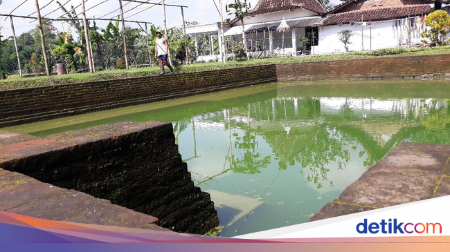 Ada Ritual Khusus untuk Melihat 'Kecantikan' Dewi Sri di 