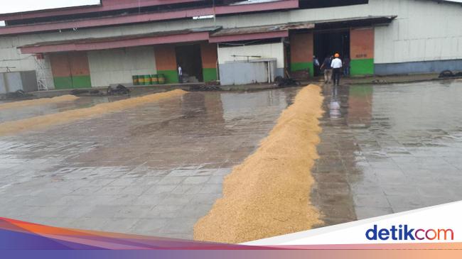 Pakai Listrik Biaya Produksi Pabrik Penggilingan Ini Hemat Rp 400 Ribu