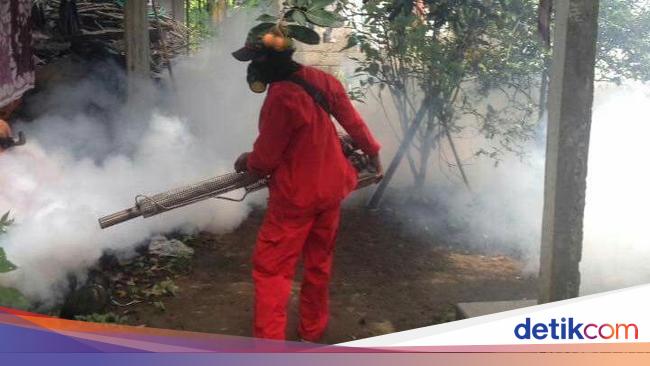 Ini Sebabnya Fogging Nggak Pernah Efektif Berantas Nyamuk