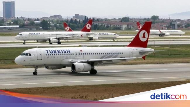 Colleagues call Indonesian citizens angry at Turkish Airlines for dogs licking