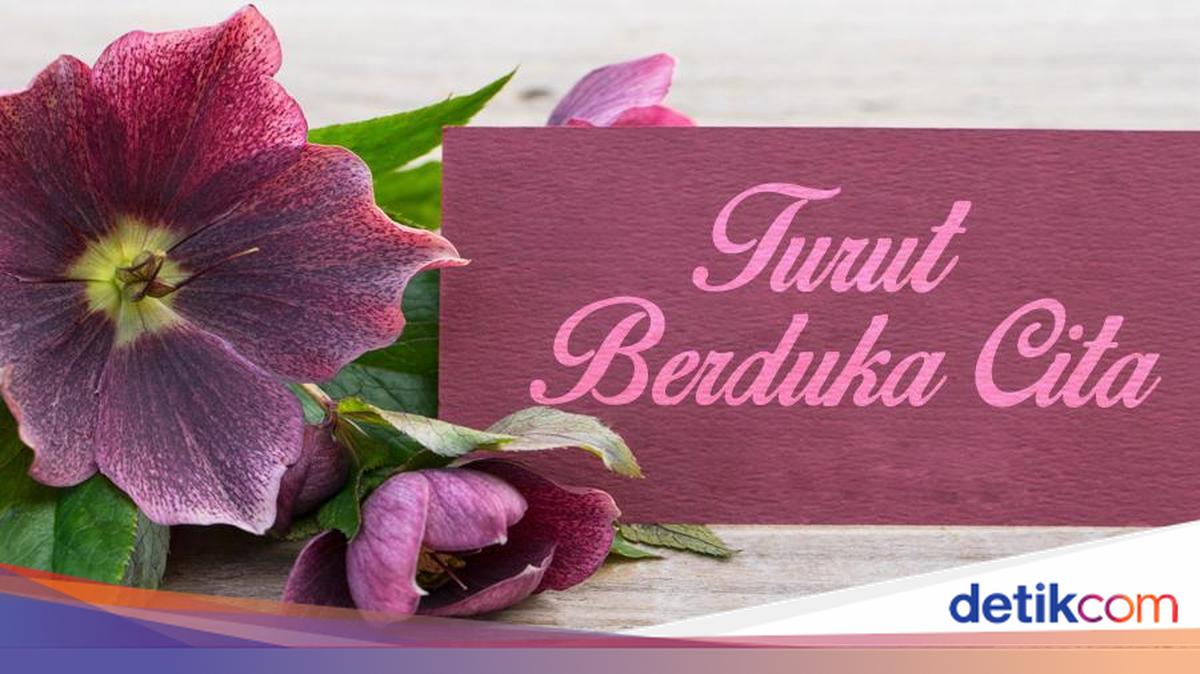 Kabar Duka, Romo Mudji Sutrisno Meninggal Dunia