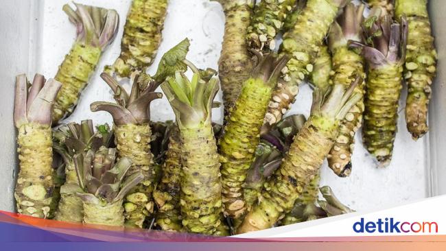 Mengenal Beragam Manfaat Brotowali Untuk Kesehatan 8683