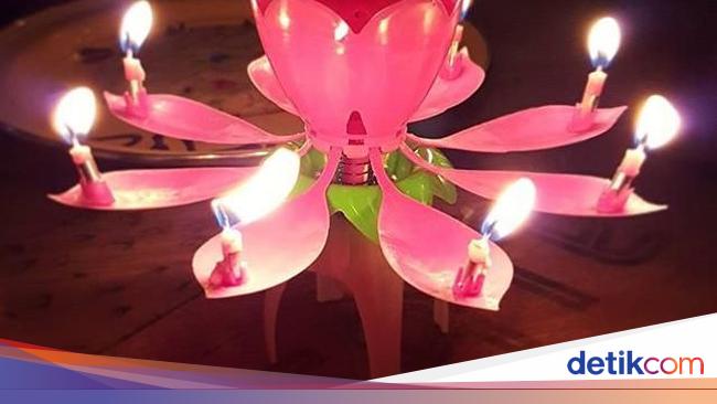 Wouw Lilin Ulang Tahun Bentuk Bunga Lotus Bernyanyi Ini Sedang Hits