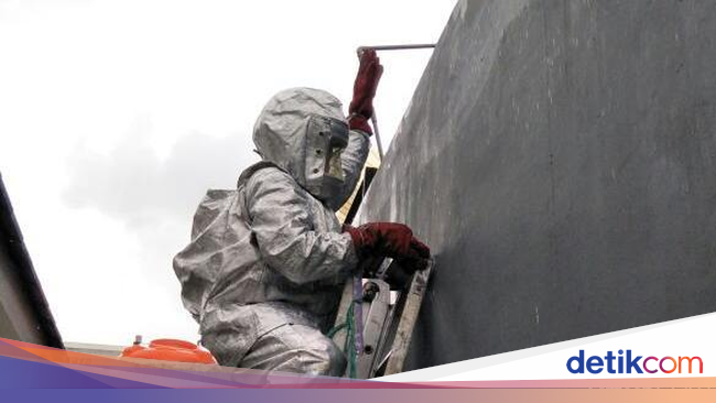 Pakai Baju  Anti api Damkar  Makassar Evakuasi Sarang Tawon Pakai Baju  Anti api Damkar  Makassar Evakuasi Sarang Tawon