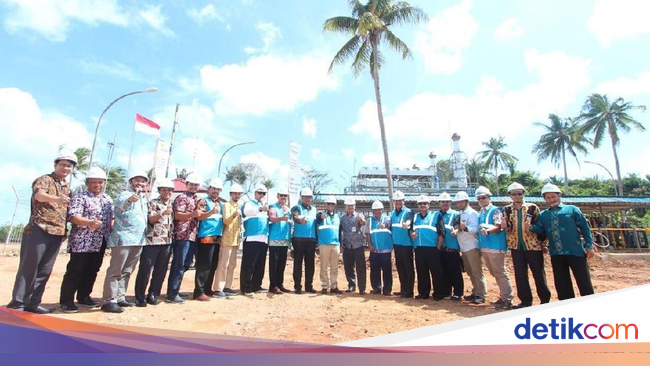 Terkendala Izin, Pembangkit Listrik di Bintan Ini Belum 