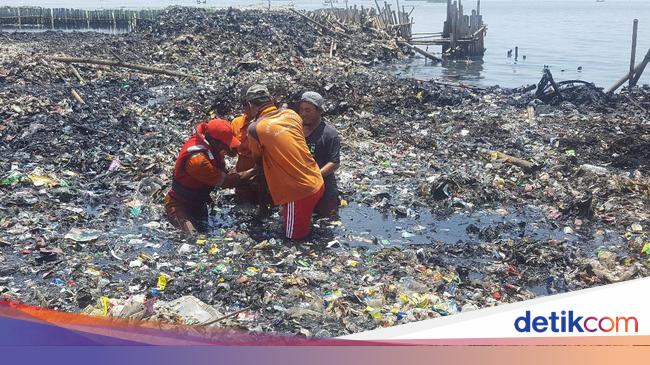 Kedalaman Sampah Di Teluk Jakarta Capai 3 Meter