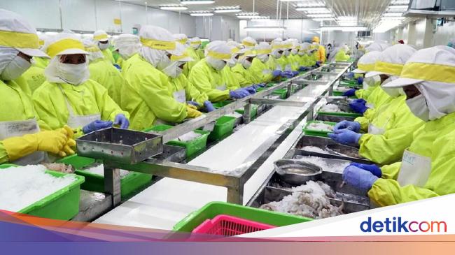 Ada Perbedaan Tarif Bea Masuk Udang RI ke AS, Picu Persaingan Usaha Tidak Sehat