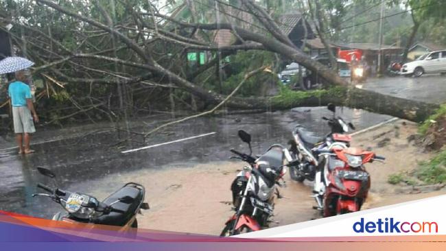 Pohon Tumbang Tutup Jalan Nasional Ciamis Banjar Pohon Tumbang Tutup Jalan Nasional Ciamis Banjar