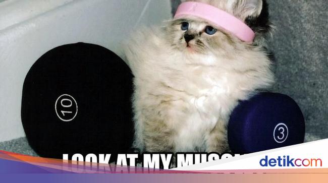 10 Meme Ini Bisa Jadi Kamu Saat Kurang Motivasi Olahraga