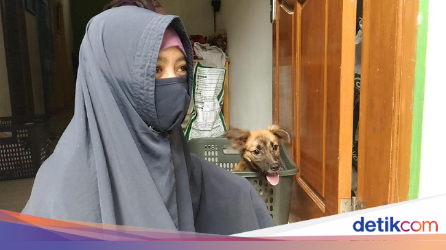 Ini Hesti Wanita Bercadar yang Pelihara 11 Anjing