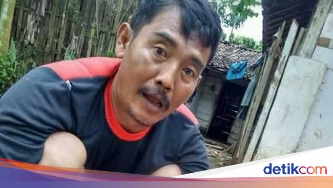 Kucing Hutan Termasuk Hewan Dilindungi Pembunuh Terancam Kucing Hutan Termasuk Hewan Dilindungi Pembunuh Terancam