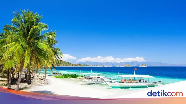 80 Gambar Ilustrasi Ekosistem Pantai Paling Hist Gambar 80 Gambar Ilustrasi Ekosistem Pantai Paling Hist Gambar