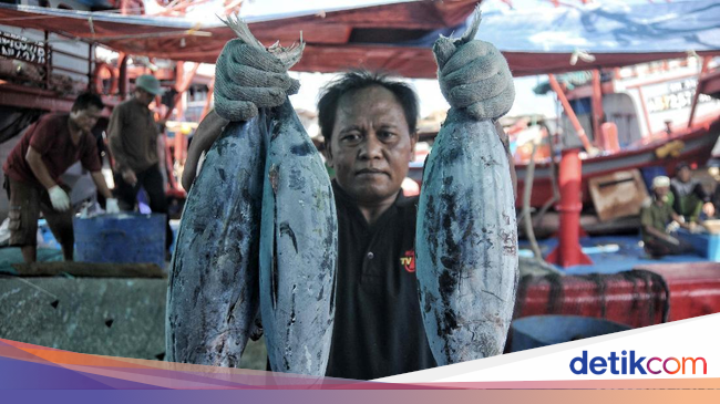 Pengusaha Ikan: Kalau Ada di Indonesia Kita Nggak Impor