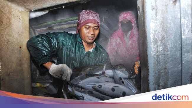 Cerita RI Berhasil Kurangi Impor dengan Ikan Lokal