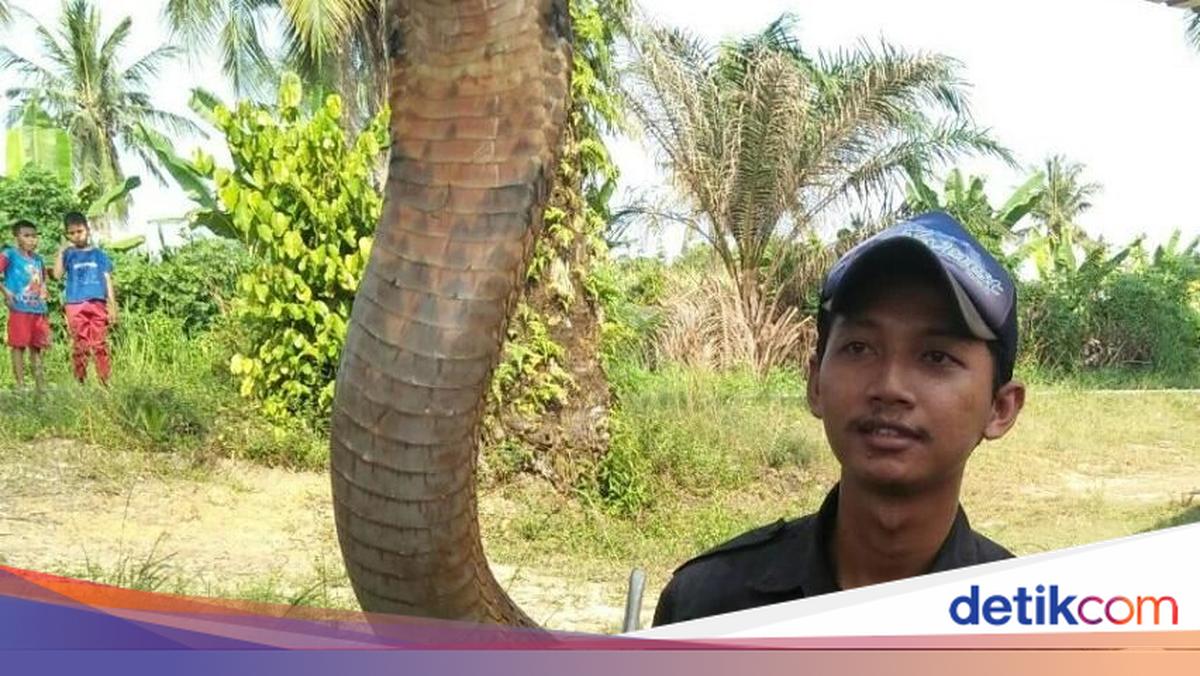 Down Syndrom bilan jinsiy aloqa ni onlayn tomosha qiling