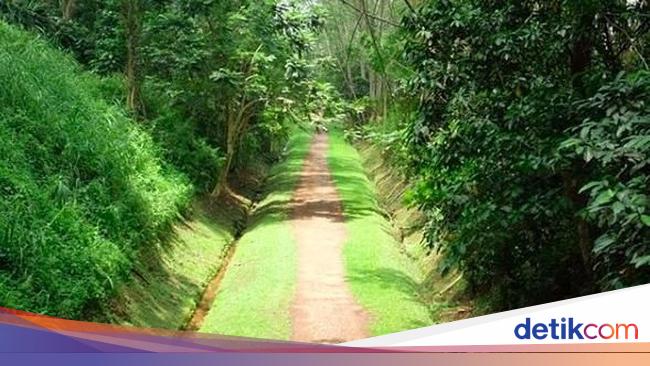 Wilayah Paling Tinggi Di Singapura Yang Jadi Cagar Alam Ini Profilnya