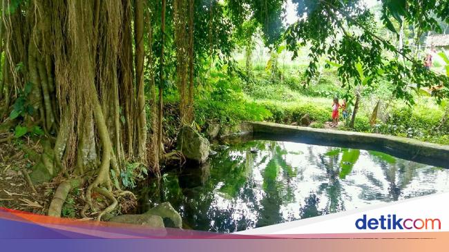 Mata Air Unik Di Ciamis Bergelembung Jika Ada Orang Berdehem