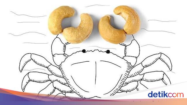 Kreatif Seniman Ini Ubah Kacang Kacangan Jadi Gambar Unik