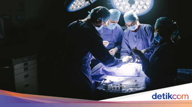 thailand di rumah plastik sakit bedah Operasi Kelamin di Indonesia Ganti Orang Thailand Ketika thailand di rumah plastik sakit bedah Operasi Kelamin di Indonesia Ganti Orang Thailand Ketika