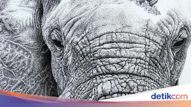 Habiskan Waktu 160 Jam Seniman Ini Bikin Lukisan Gajah Habiskan Waktu 160 Jam Seniman Ini Bikin Lukisan Gajah