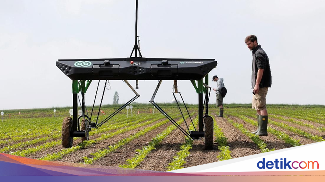 Keren! Robot Ini Diciptakan untuk Bantu Para Petani