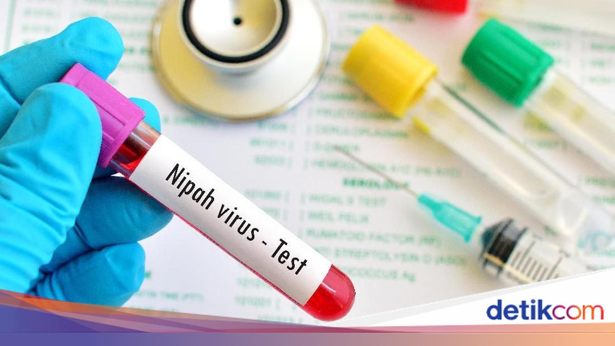 Kemenkes Pastikan Belum Ada Kasus Virus Nipah di RI, Imbau Warga Tetap Waspada
