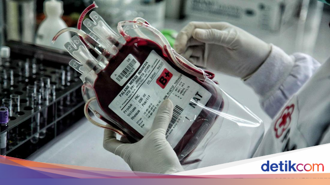 Begini Prosedur PMI Saat Temukan Donor Darah yang 