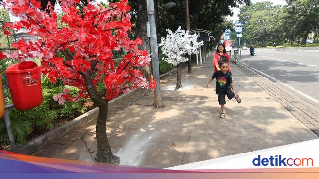 Hiasan Pohon Lampu Percantik Jalan Thamrin Hiasan Pohon Lampu Percantik Jalan Thamrin
