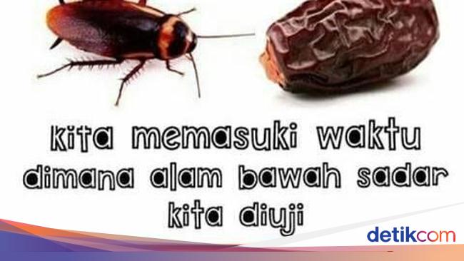 Kumpulan Meme Lucu Buat Kamu Yang Fobia Kecoak
