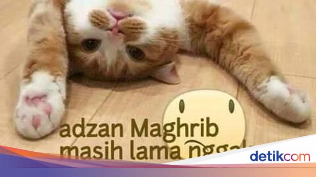 Meme Kocak Tentang Orang Orang Yang Lemas Saat Puasa Ada Banyak