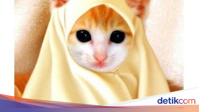 Meme Kocak Netizen Soal Baju Lebaran Foto 7