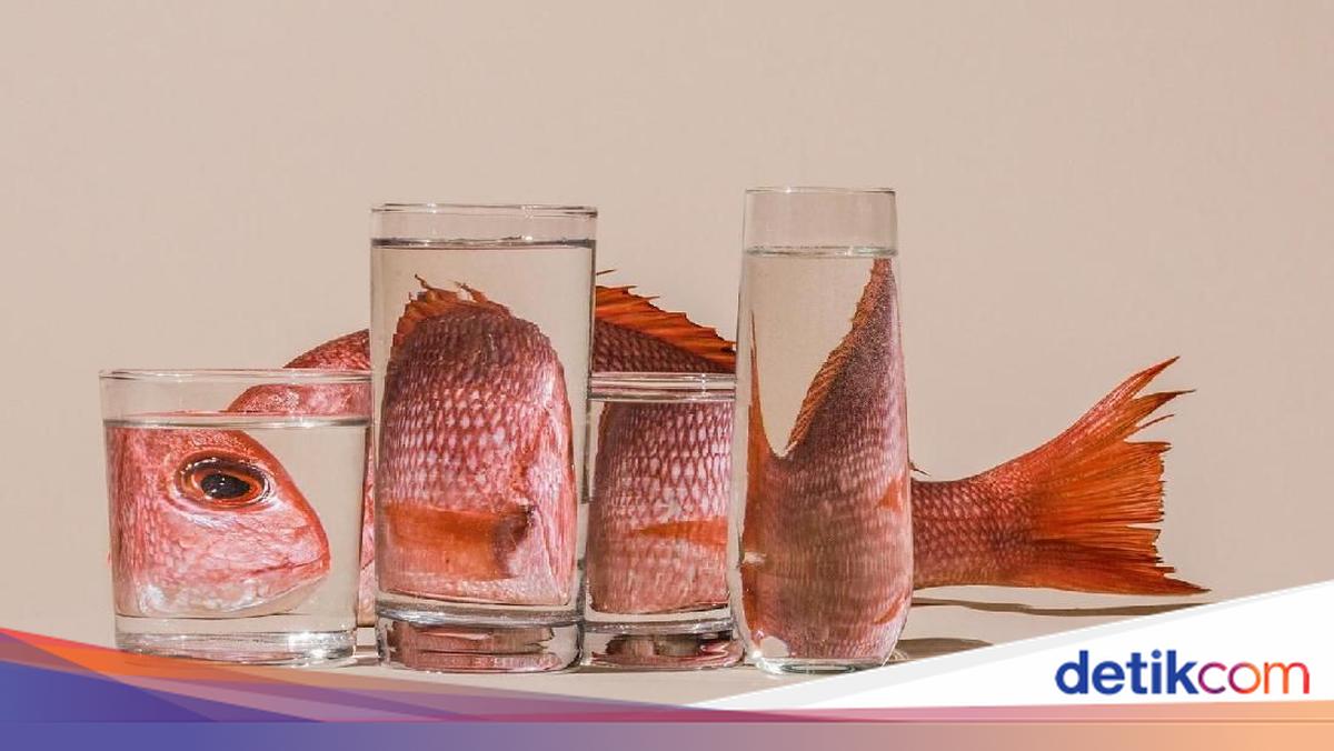 Memahami Distorsi Adalah dan Maknanya di Berbagai Bidang