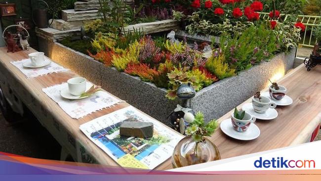 5 Langkah Mudah Membuat Taman Bunga di Halaman Rumah