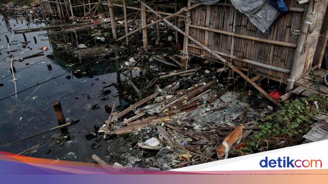 Pencemaran Lingkungan Hidup Pengertian Jenis Dan Penyebabnya