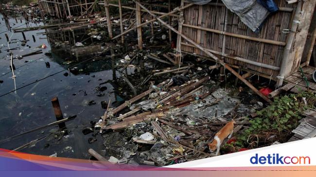 Pencemaran Lingkungan Hidup  Pengertian Jenis dan   Pencemaran Lingkungan Hidup  Pengertian Jenis dan