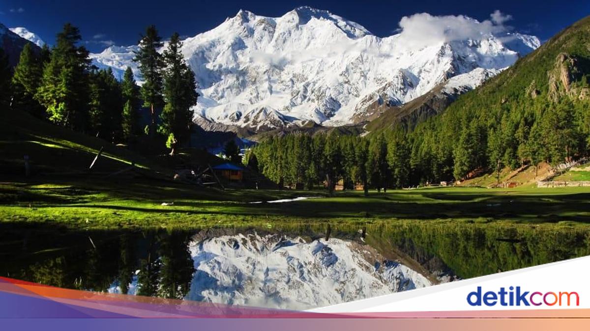 Pakistan Rafi Tapi 75 Tahun Hubungan RI-Pakistan, tapi Belum Ada Penerbangan Langsung ke Sana